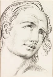 Ecstatic Admiration